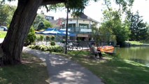 Tony the Dog Swimming in Avon River (Stratford, Ontario, Hometown of Justin Bieber, LOL)