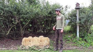 5 : Lake Home Garden Transformation : King Stropharia Mushroom Patch - Straw Bale