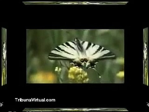 Descartes, René Descartes