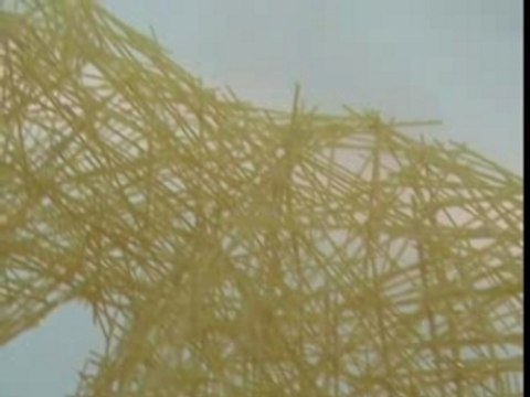 Roger: a virtual spaghetti friend