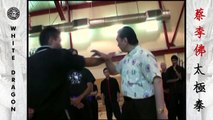 Yang Style Tai Chi Push Hands - Grandmaster Doc-Fai Wong