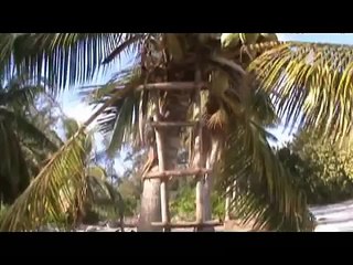 Canton (Kanton) atoll. Kiribati