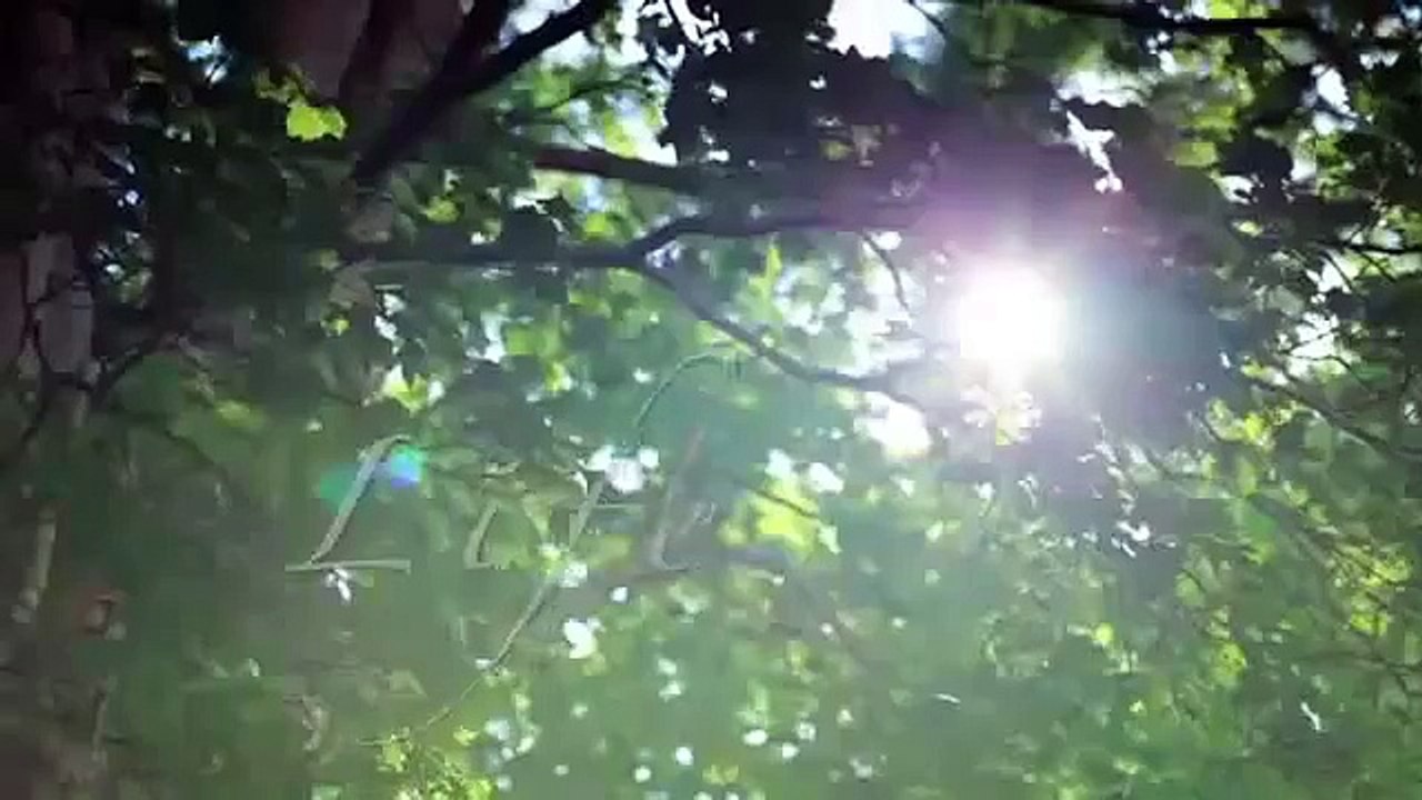 introduction video