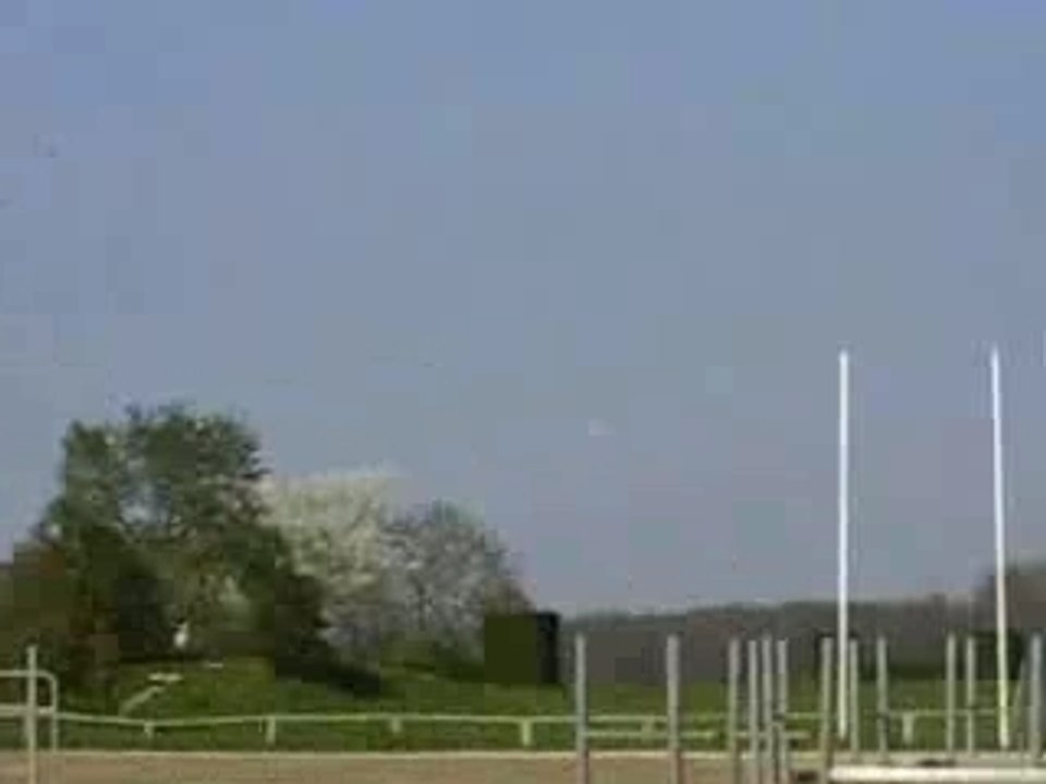 Galop en carrière