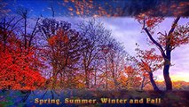 Demis Roussos & Aphrodite's Child--Spring,Summer,Winter & Fall (lyrics)