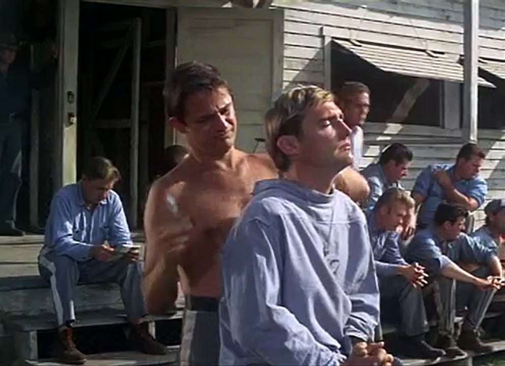 Cool Hand Luke Arleta