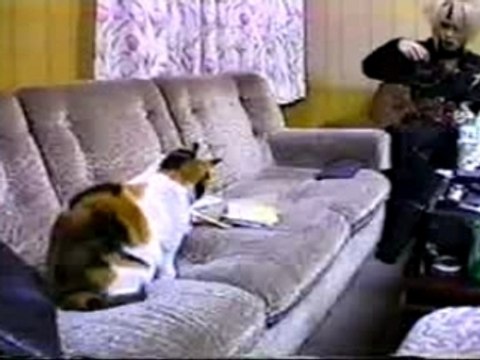 Kyo messing Shinya's stuff (Dir en Grey)