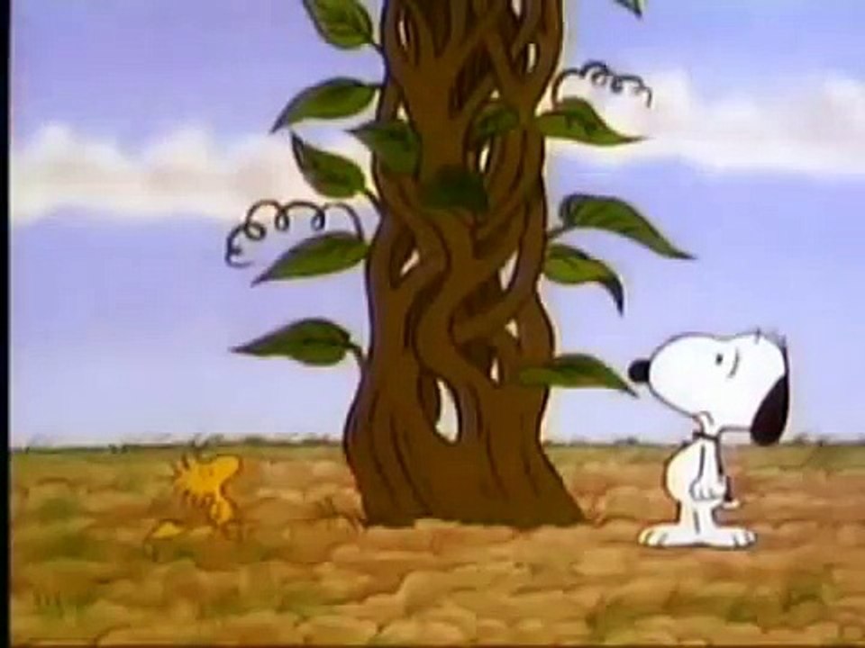 Charlie Brown (En Español) (38)