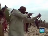 How Snakes Floating In Ghotki Flood- Watch How People Trying to Kill Them Snakes-Watch In This Video