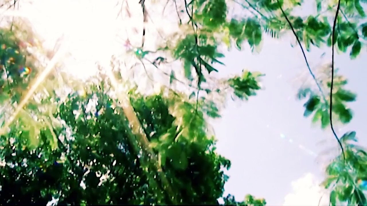 Ngõ vắng xôn xao ( guitar acoustic) - Lương Giang