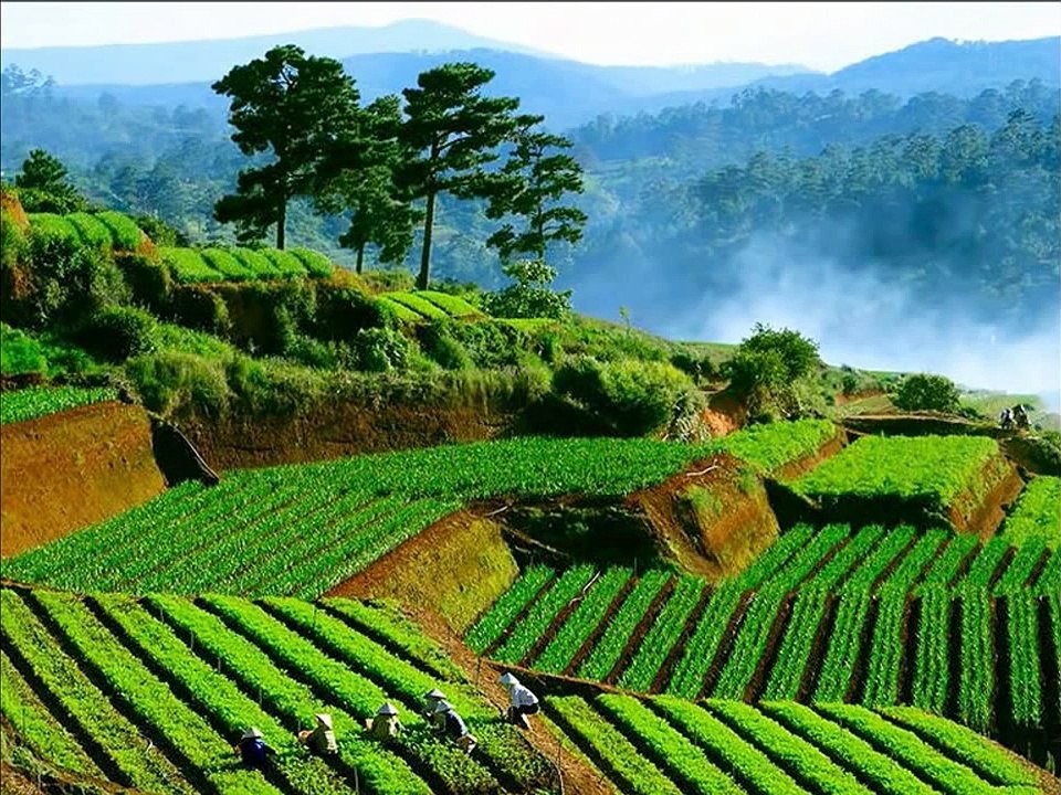 Lien Khuc Nhac Mui 4 -TREN SONG KHOI SONG -HCD