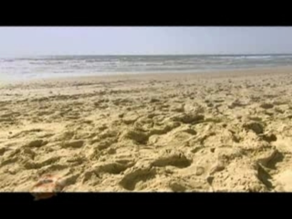 Beach Sex