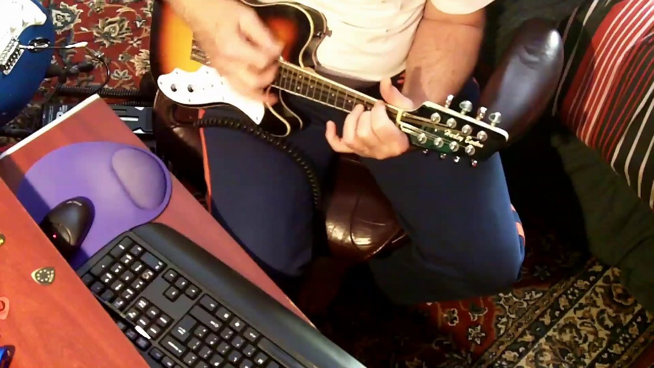 Harley Benton  VA-500 bluegrass series mandolin.