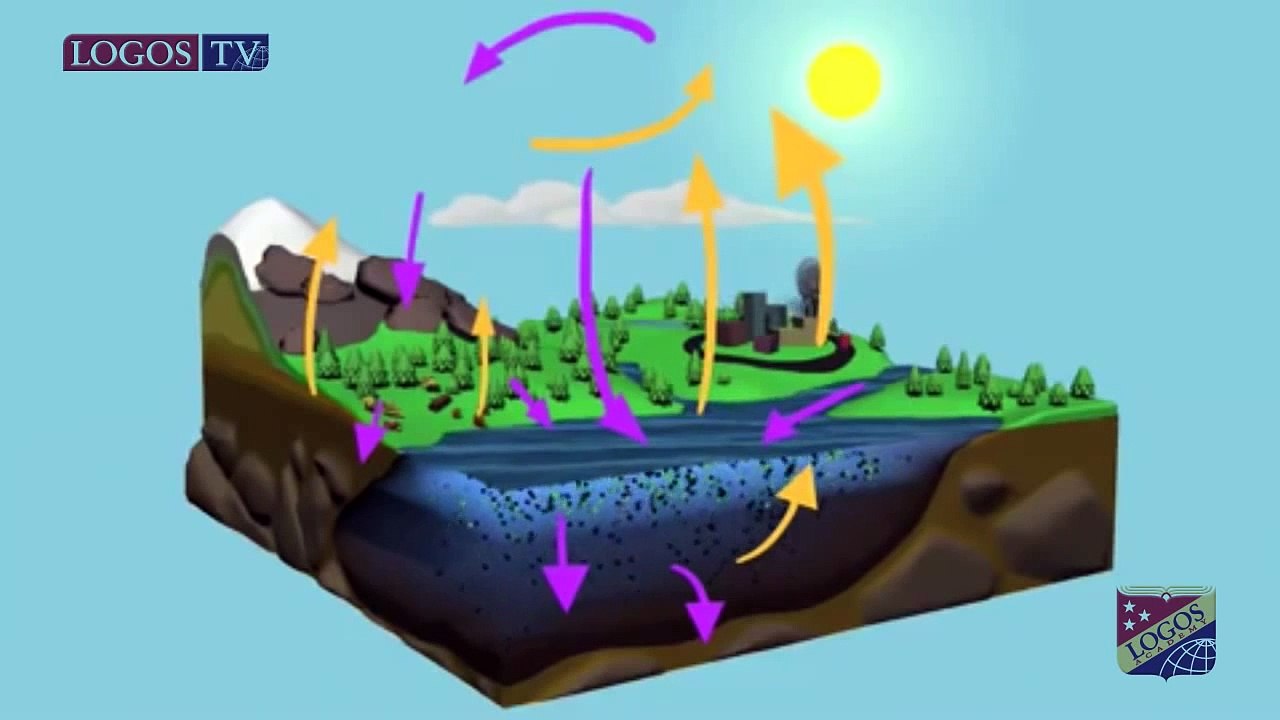 The Carbon and oxygen cycles