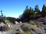 El Teide desde Las Cañadas