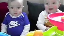 Baby twins having fun with a stuffed animal