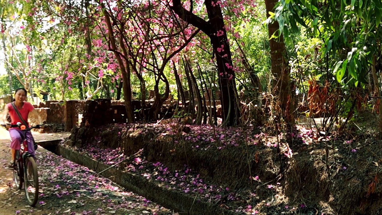 Abhinam Yoga Teacher Training School In Goa And Dharamsala India