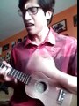 The beatles-I want to hold your hand (ukulele cover)