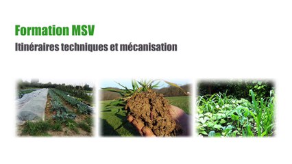 Formation MSV Itinéraires techniques et mécanisation Jour 2 Présentation d'outils : Francois Mulet