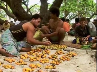 Mike Oldfield & Anuta Tribe - Song for Survival