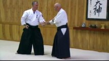 Aikido Instruction - William Gleason Sensei Aikido Seminar - sample clip