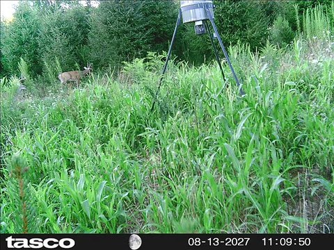 Scavenger Hunt For Sportsmen