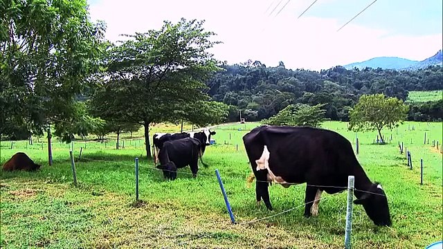Globo Repórter 3 - 1408