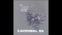 Cannibal Ox -  Raspberry Fields  (Instrumental) [ Audio]