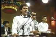 FERNANDO VILLALONA con RAMON ORLANDO (1984) - Se Que Te Perdi