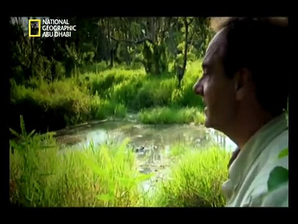 حيوانات خارقة القوة | حيوانات قاتلة