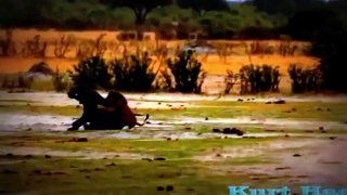 Elephant Killed By Lions - Fight to Death [Metamorphosis Documentary]