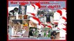Dogs Adoptions Nederland: puppies puppies puppies, and all they want for Christmas is YOU!!!!!