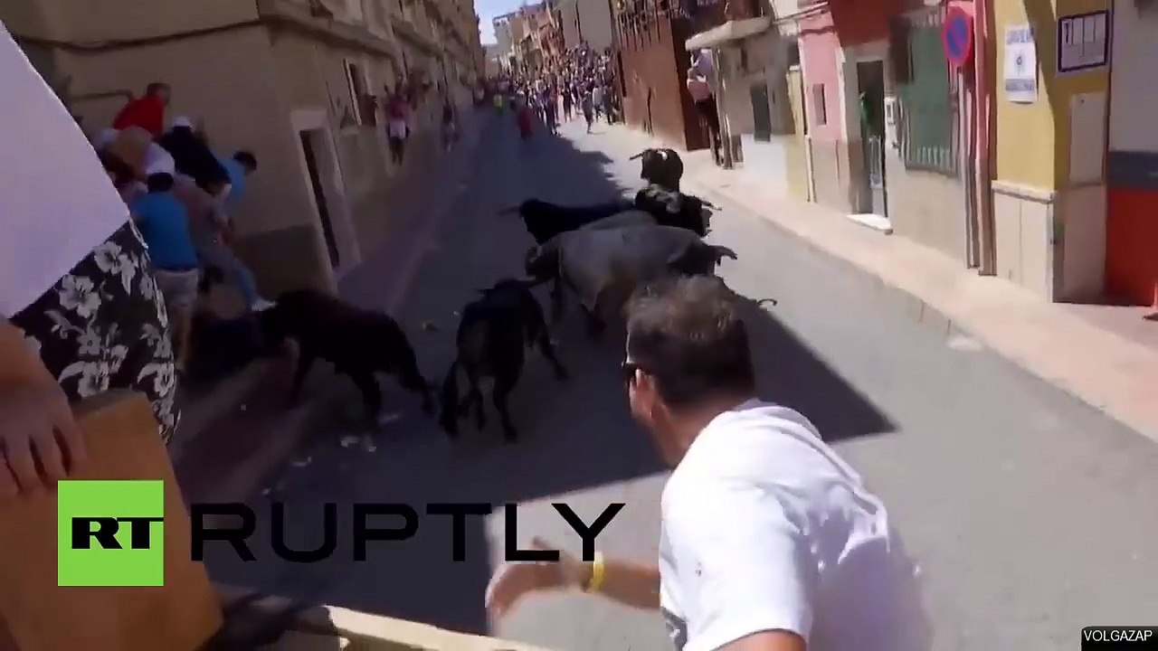 Deux hommes blessés par des taureaux - Blanca - Espagne