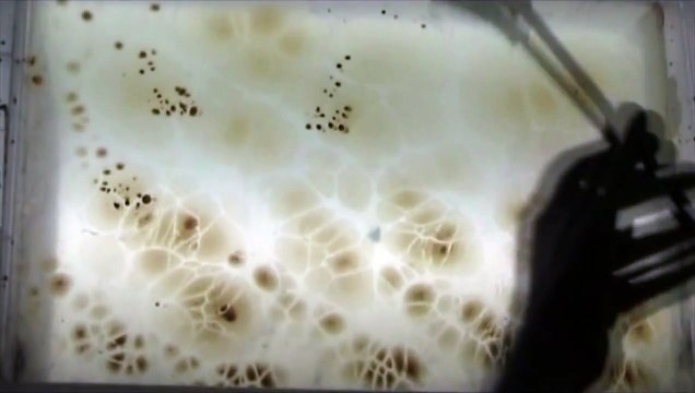 Magical Turkish Art : Ebru (Marbling / Marbled Paper)