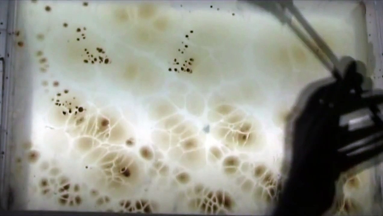 Magical Turkish Art : Ebru (Marbling / Marbled Paper)