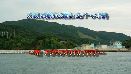 【捕食】アオリイカがアジを襲う！　釣りの水中映像