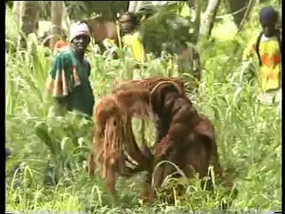 LE KANKURANG RITE D'INITIATION MANDING