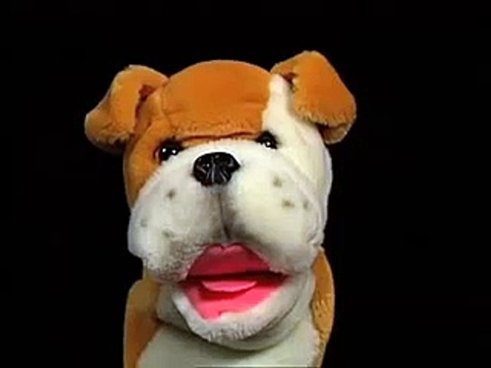 Baby Mozart Discovery Kit  Animals   Baby Einstein