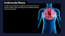 Preventing Heart Disease - Statistics, Risk Factors and Prevention Guidelines Video