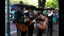 Mariachi Ay,Ay,Ay Cielito Lindo