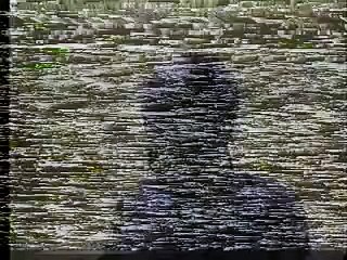 Languichatte au tribunal 1