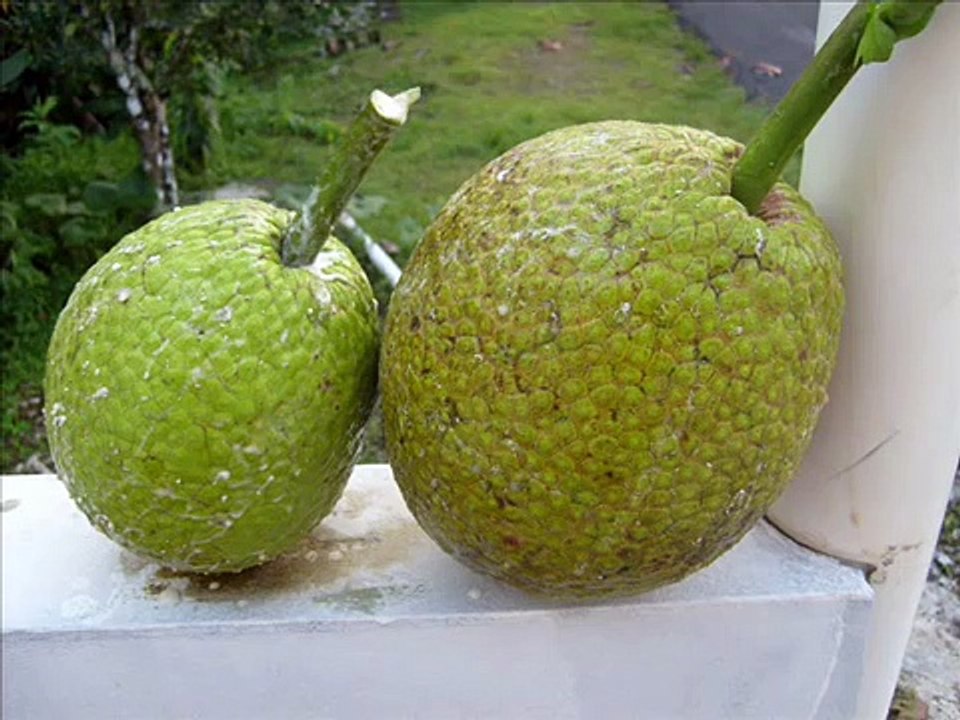 Tres Patines - Contraticidio.wmv