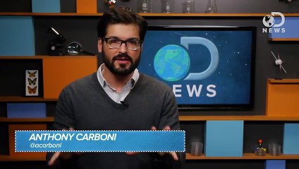 Your Cat Doesn't Care About You