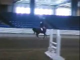 Tennessee Walking Horse Over Fences
