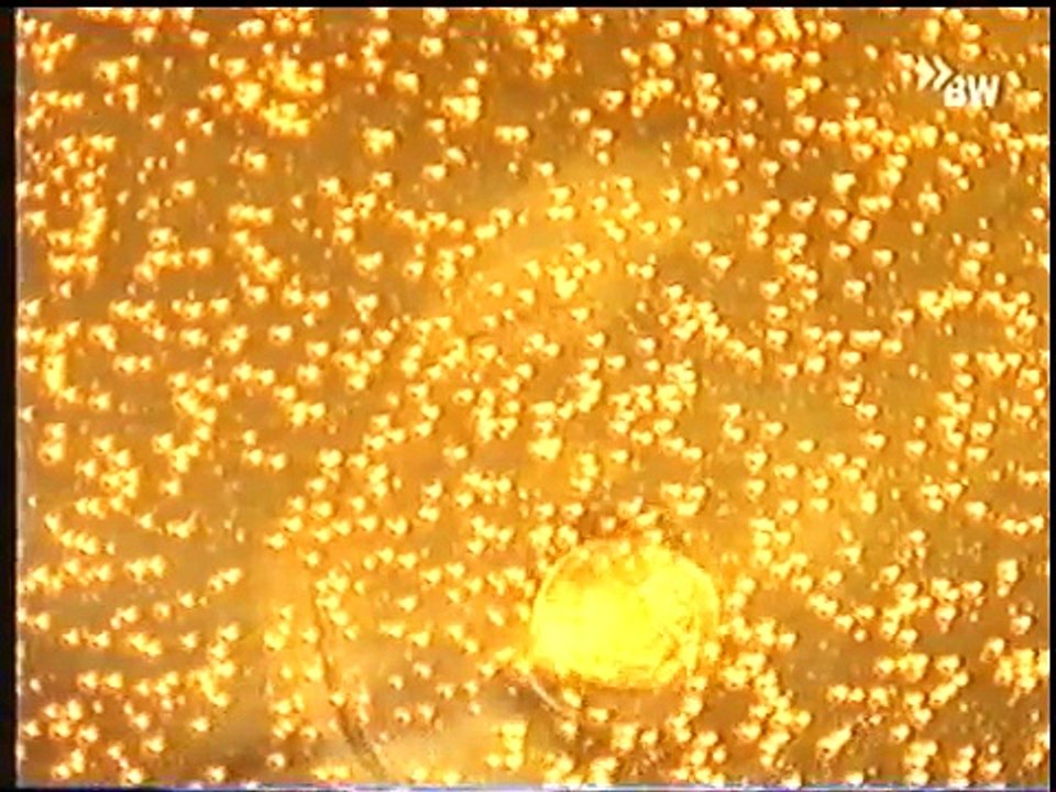 Joseph Beuys - Ein Portrait (2001)