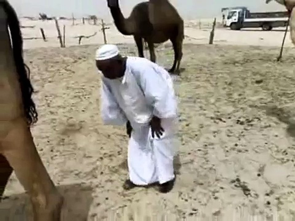 Arab Fun Open The door افتحو لنا الباب السوداني والبعير