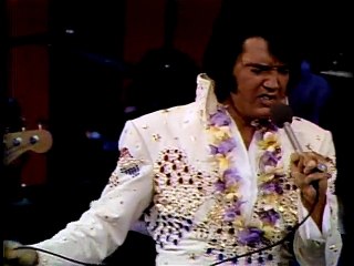 Mountain Alternative Aloha 🌄