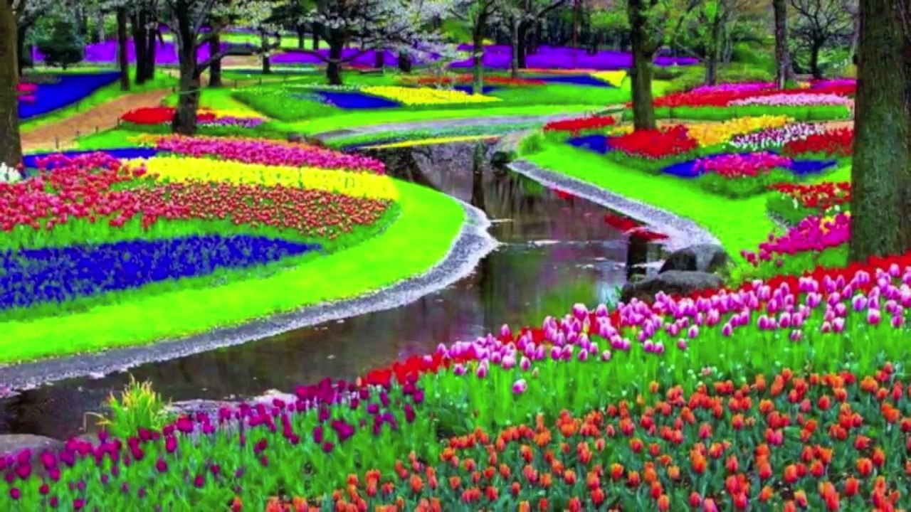 Accetta Il Consiglio ...Per Questa Volta. Linus + Giorgio Lopez