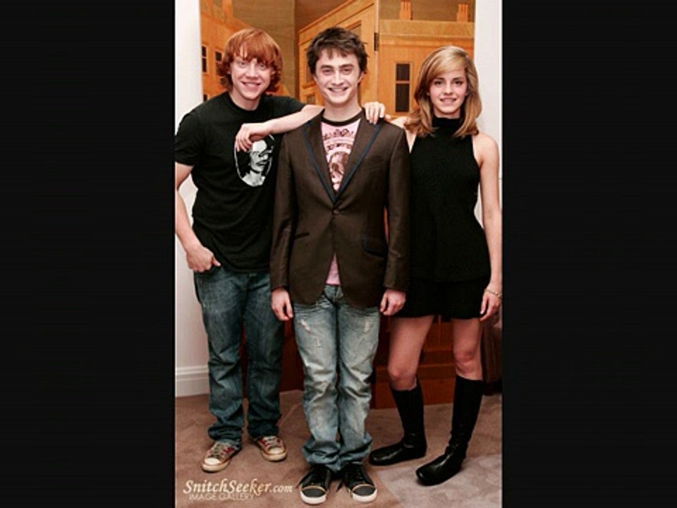 Save Ginny Weasley-Harry and the Potters