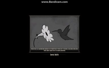 BioShock Infinite - Sesso senza Compromessi